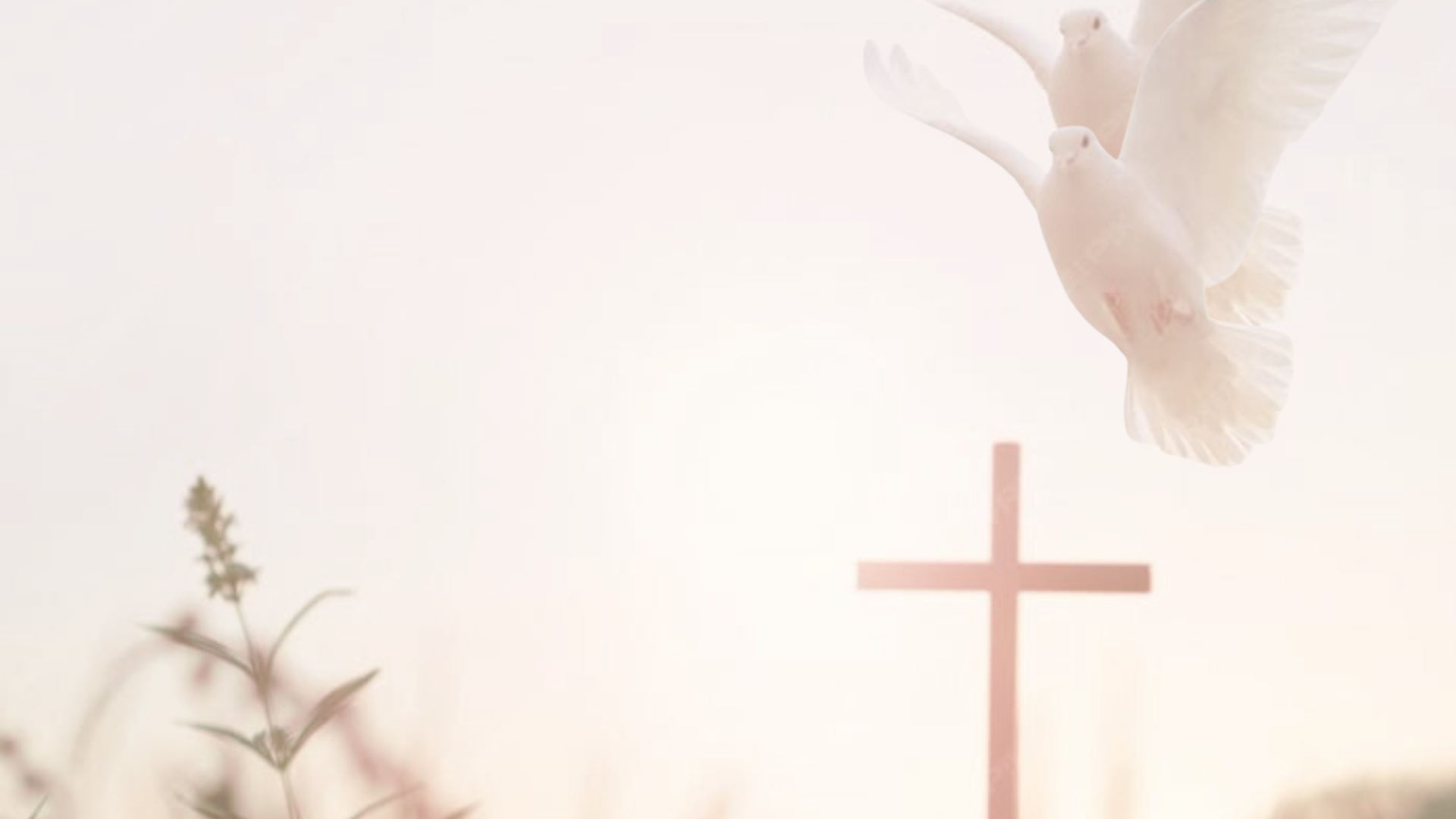 Inscripción Seminario Bíblico